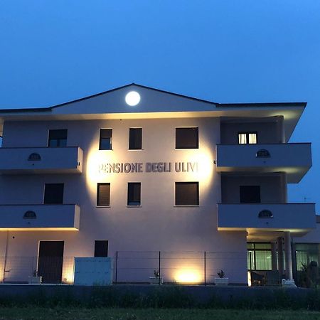 Pensione Degli Ulivi Porto SantʼElpidio Exterior foto