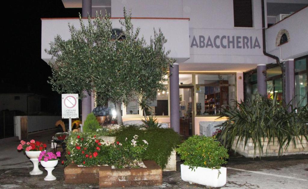 Pensione Degli Ulivi Porto SantʼElpidio Exterior foto