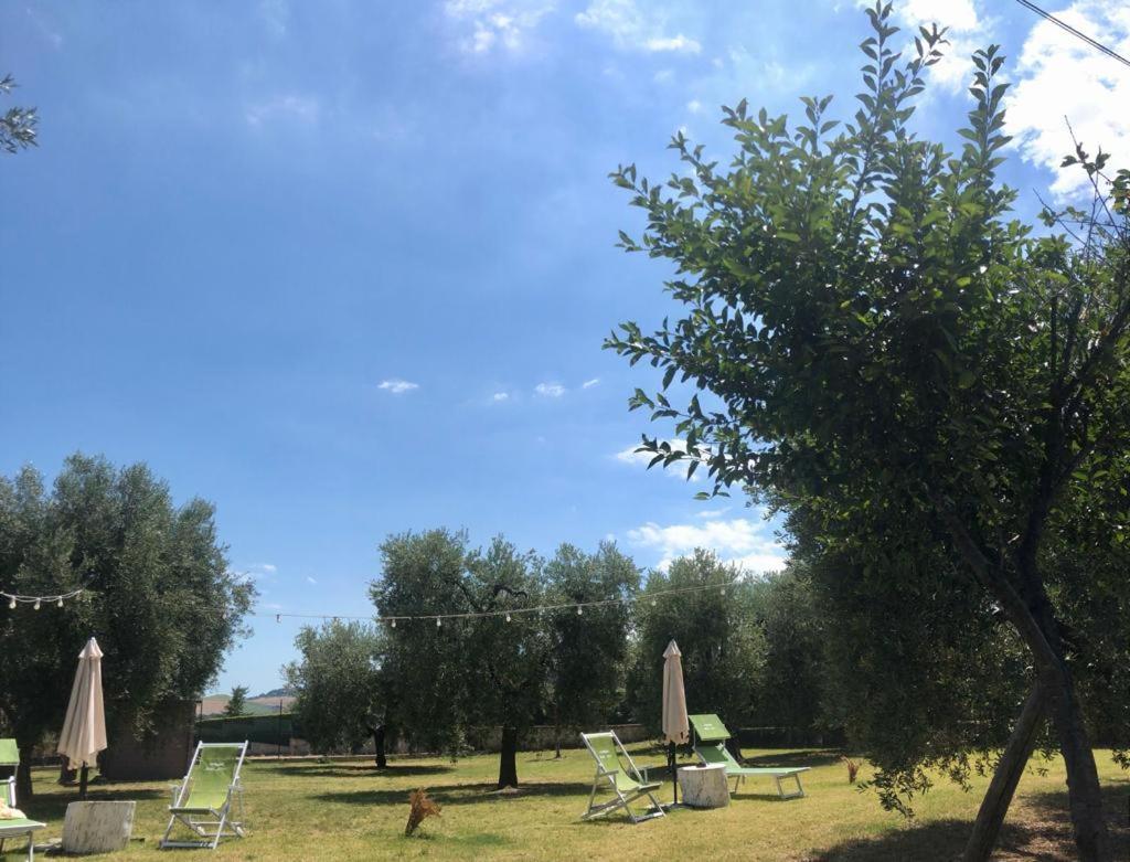 Pensione Degli Ulivi Porto SantʼElpidio Exterior foto