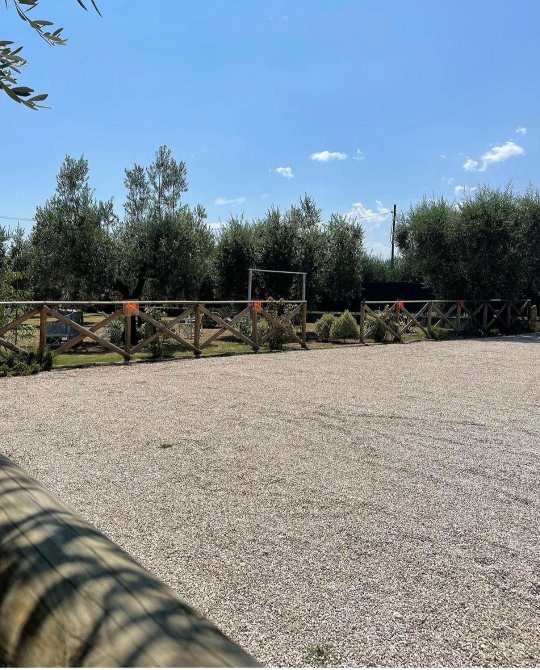 Pensione Degli Ulivi Porto SantʼElpidio Exterior foto
